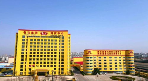 40年如一日,魯花以品質(zhì)書寫 國貨之光